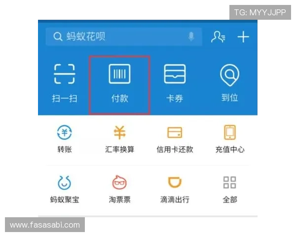 凯发旗舰厅手机版官网多重支付方式,支持微信、支付宝等多种便捷充值渠道 凯发旗舰厅手机版官网多重支付方式,支持微信、支付宝等多种便捷充值渠道